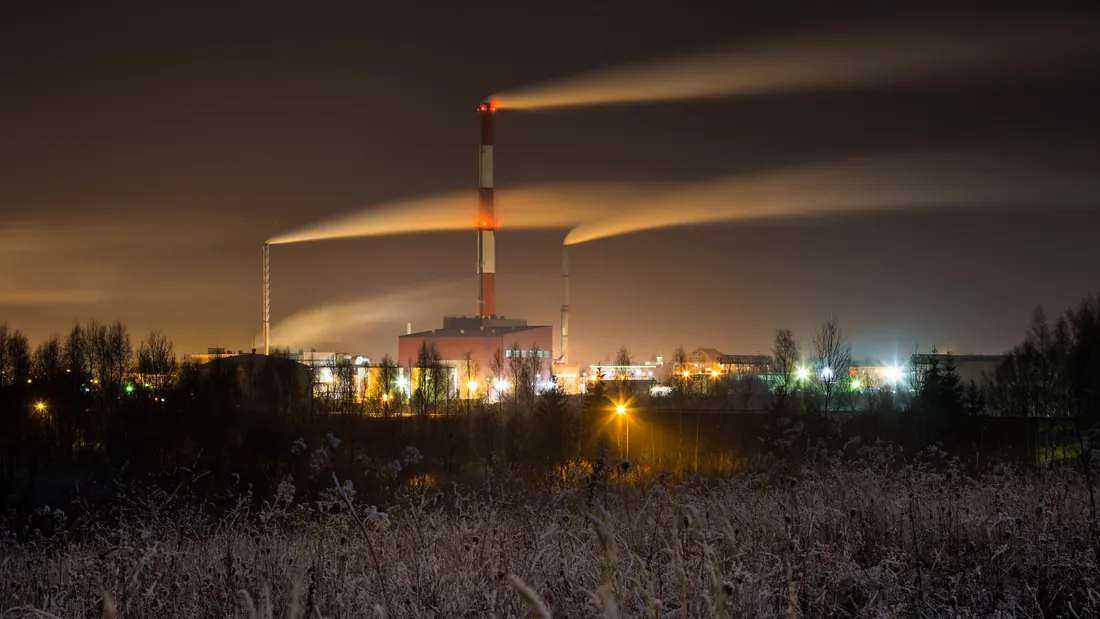 Biomass cogeneration power plant